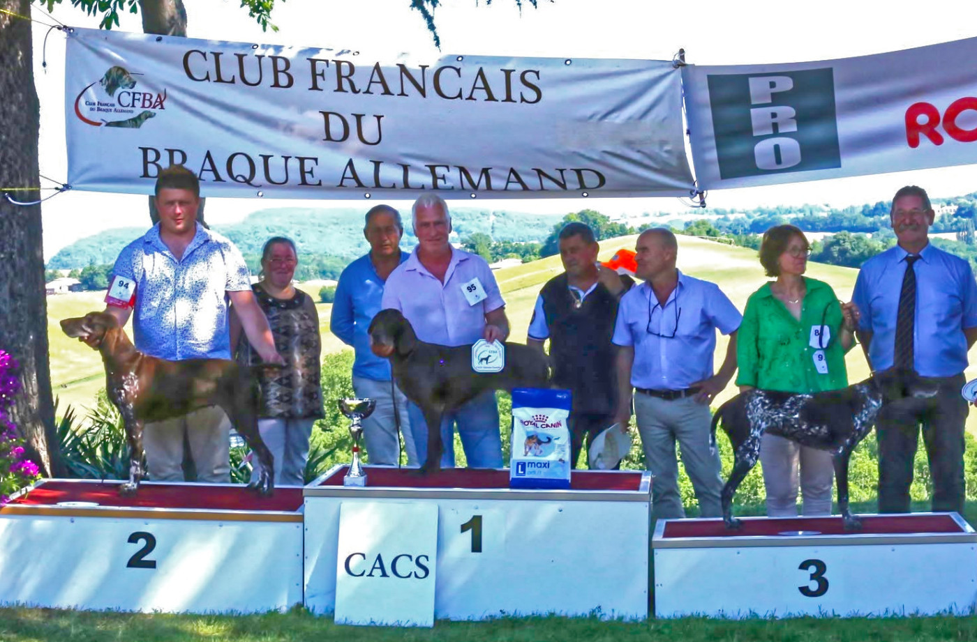 Nationnale élevage Braques Allemand 2026 Puygaillard-de-Quercy